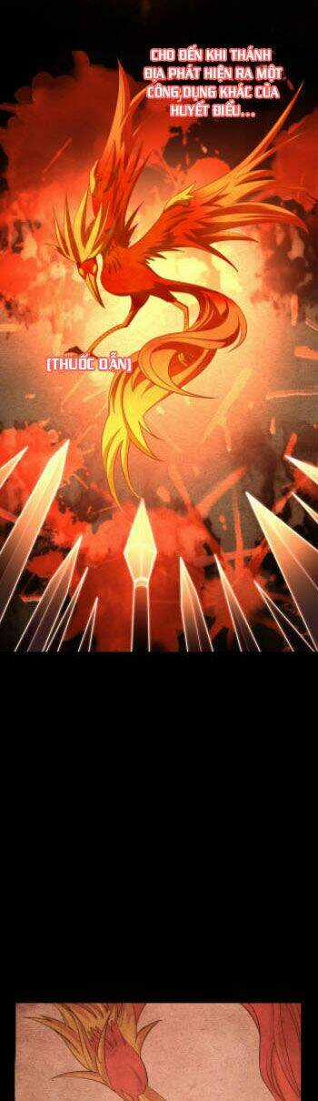 Ta Có Thể Rút Ra Thuộc Tính Chapter 6 trang 14