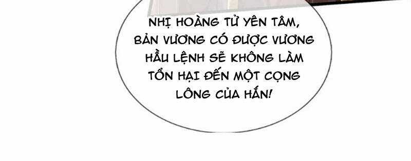 Ta Có Thể Sửa Chữa Vạn Vật Trên Dòng Thời Gian Chapter 57 trang 80