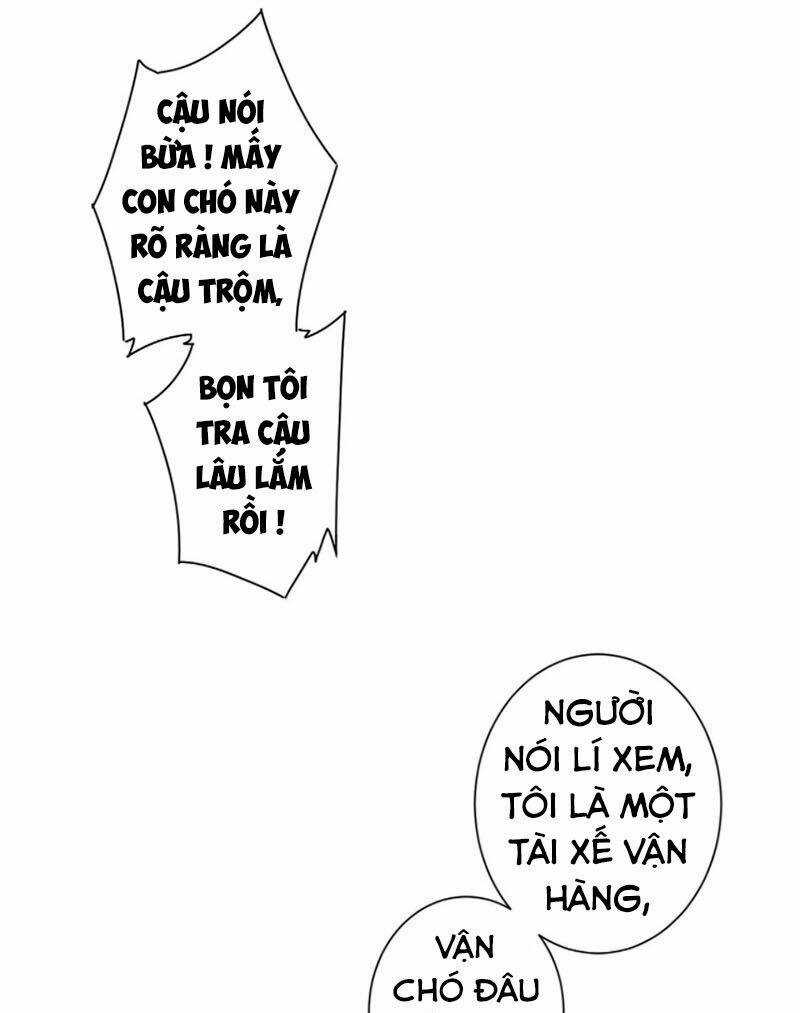 Ta Có Thể Thấy Tỉ Lệ Thành Công Chapter 162 trang 19