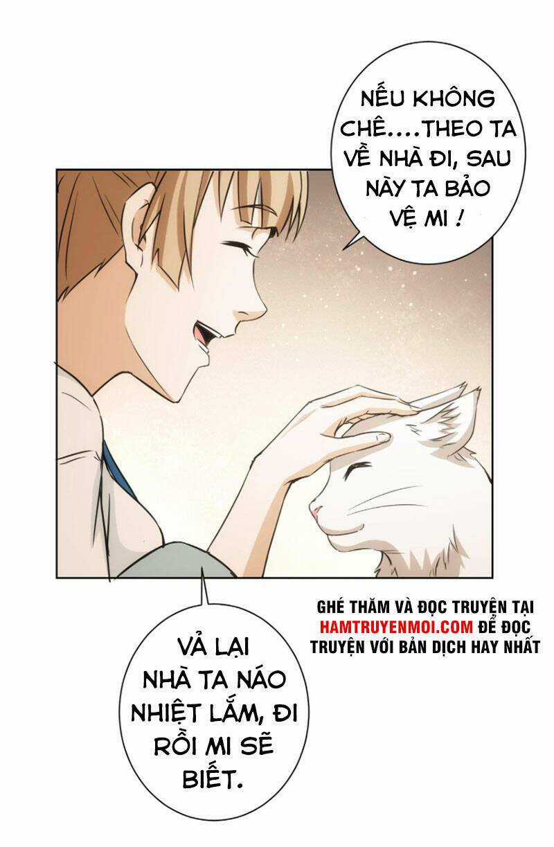 Ta Có Thể Thấy Tỉ Lệ Thành Công Chapter 168 trang 28