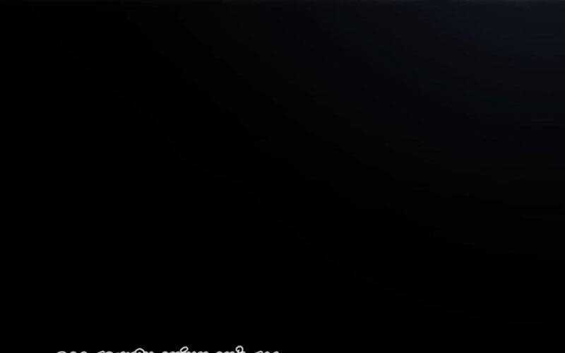 Ta Có Thể Thấy Tỉ Lệ Thành Công Chapter 202 trang 11