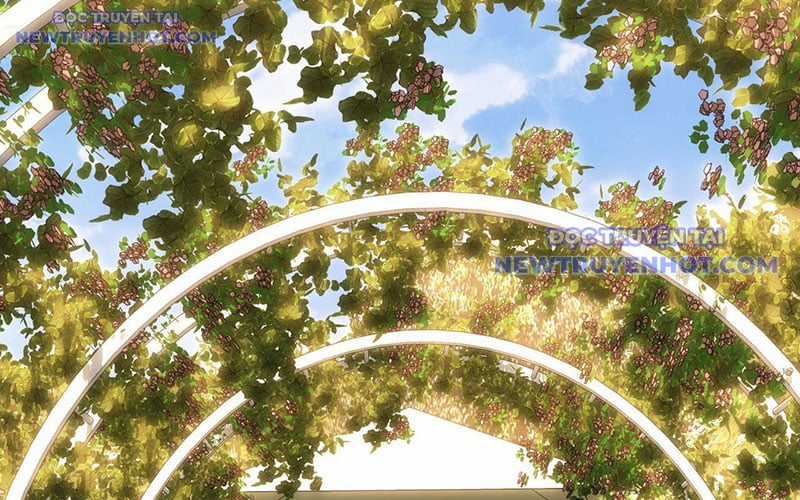 Ta Có Thể Thấy Tỉ Lệ Thành Công Chapter 214 trang 6