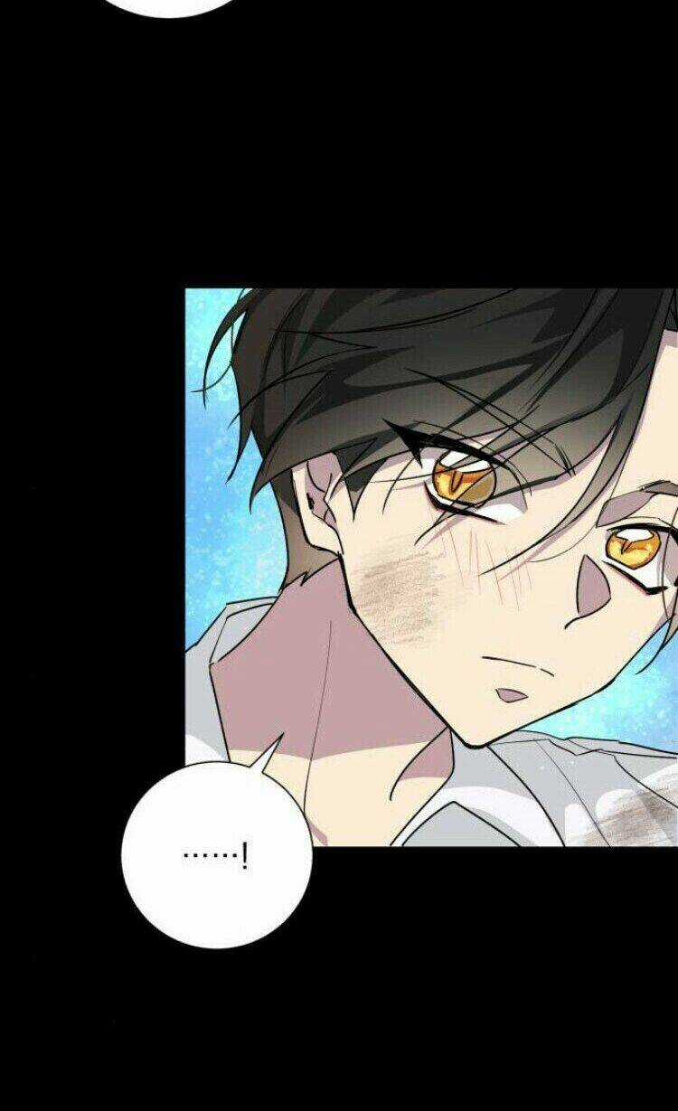 Ta Đã Từng Mong Nàng Biến Mất Chapter 16 trang 54