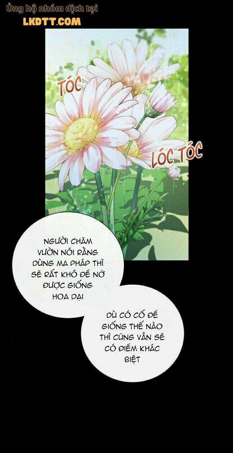 Ta Đã Từng Mong Nàng Biến Mất Chapter 18 trang 45