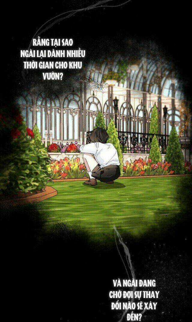 Ta Đã Từng Mong Nàng Biến Mất Chapter 28 trang 21