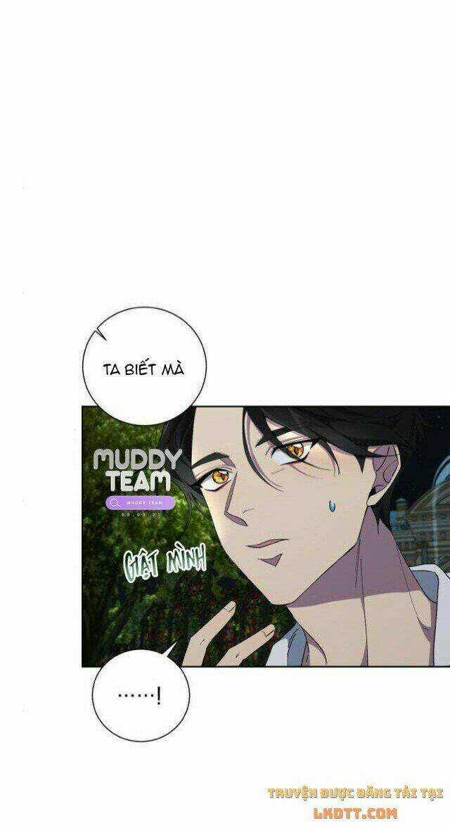 Ta Đã Từng Mong Nàng Biến Mất Chapter 28 trang 33