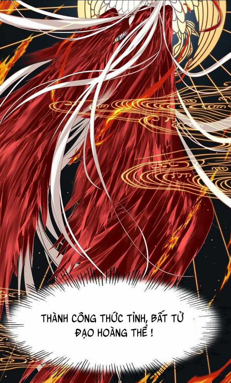 Ta Đây Chính Là Tuyệt Thế Cao Thủ Chapter 3 trang 8