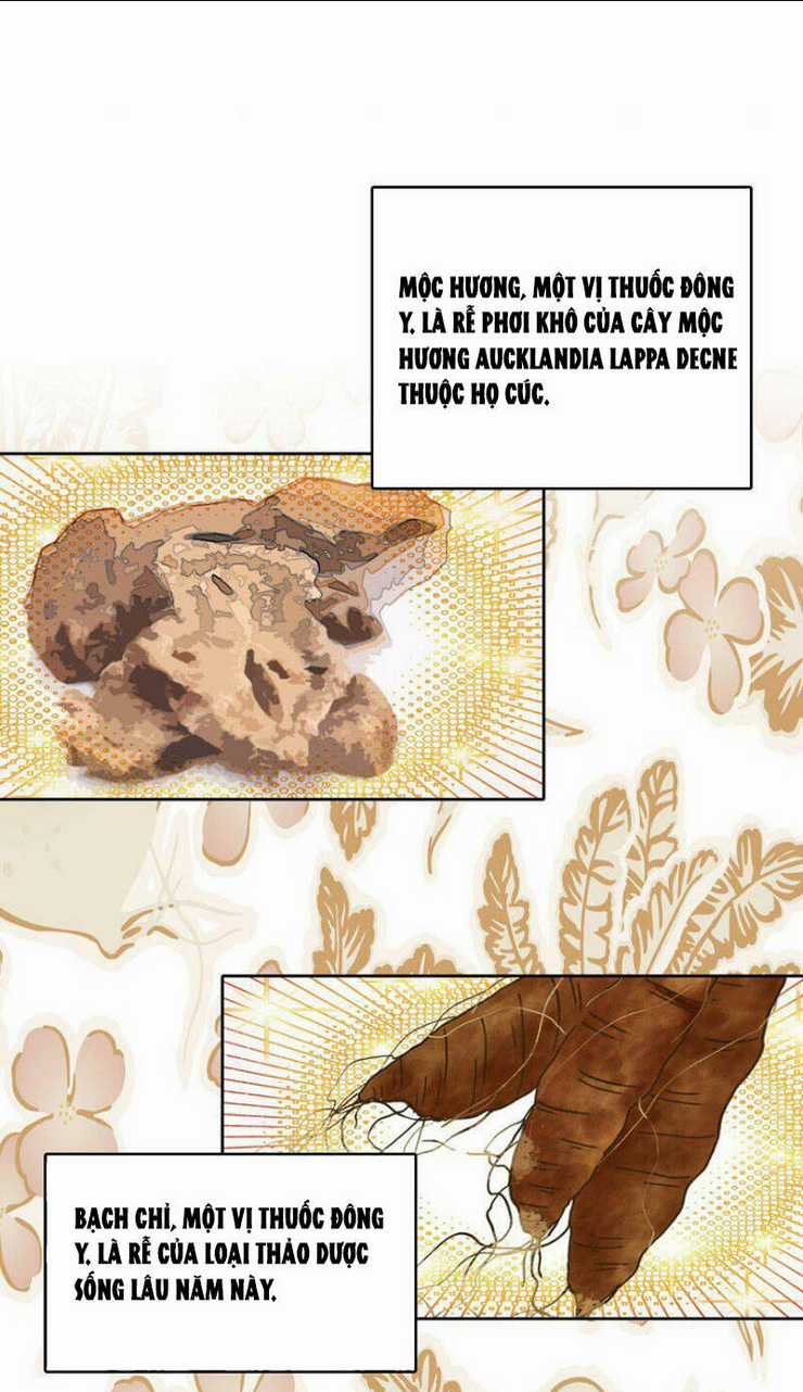 Ta Đây Chính Là Tuyệt Thế Cao Thủ Chapter 33 trang 10