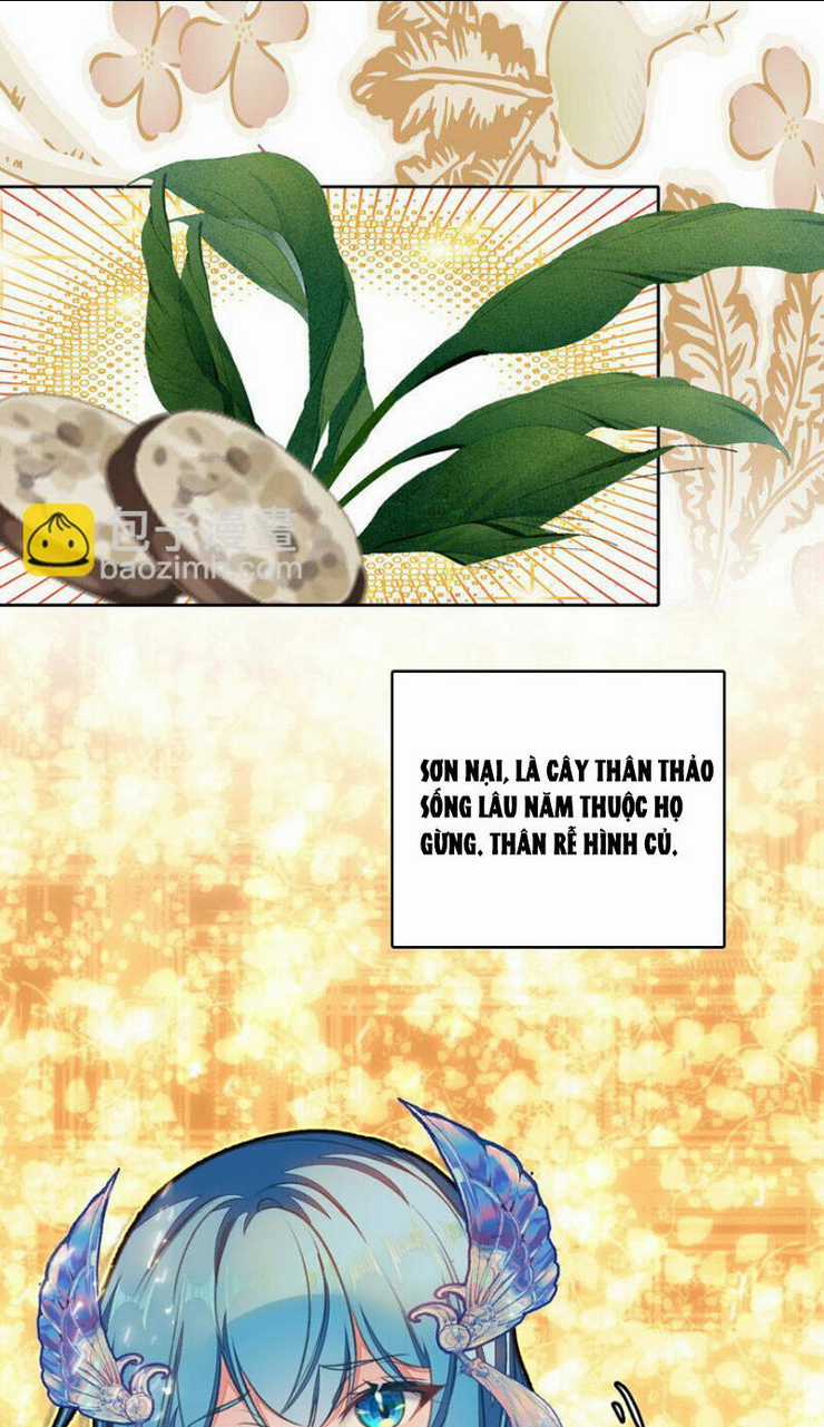 Ta Đây Chính Là Tuyệt Thế Cao Thủ Chapter 33 trang 11