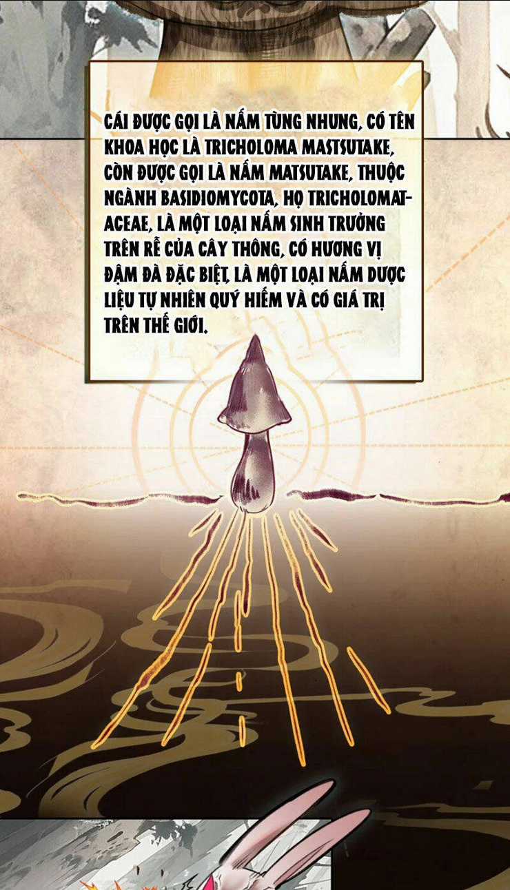 Ta Đây Chính Là Tuyệt Thế Cao Thủ Chapter 35 trang 18