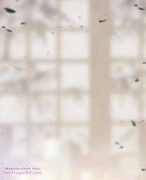 Ta Đây Chính Là Tuyệt Thế Cao Thủ Chapter 59 trang 144