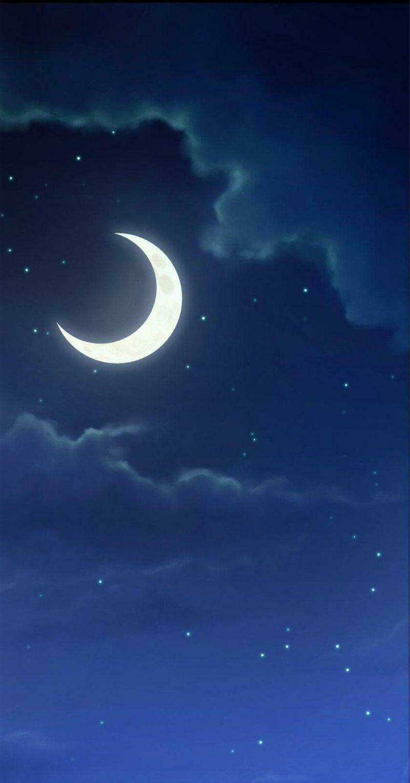 Ta Độ 999 Lần Thiên Kiếp Chapter 50 trang 7