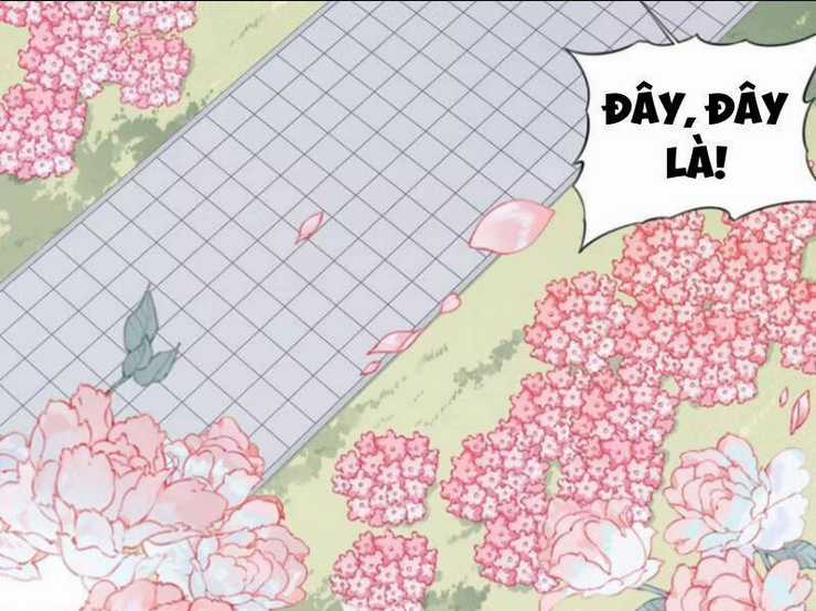 Ta Dùng Cơ Bắp Xưng Bá Tu Tiên Giới Chapter 32 trang 35