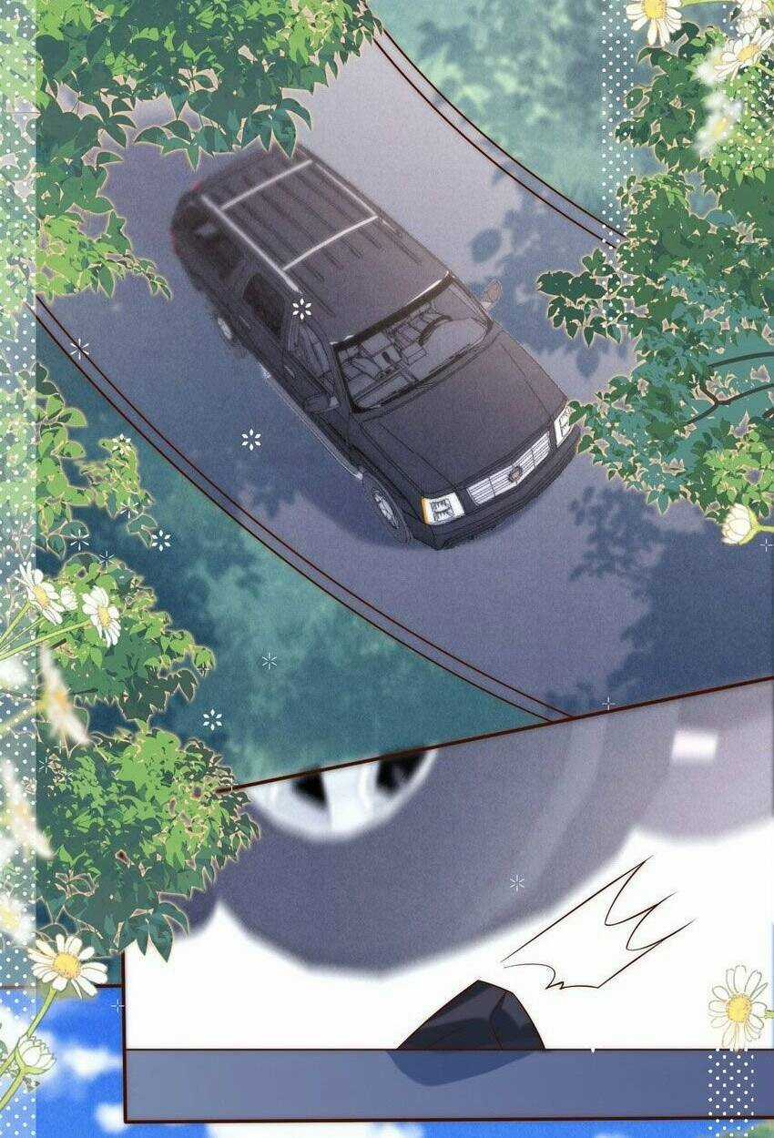 Ta Được Thế Thân Tỏ Tình Chapter 8 trang 20