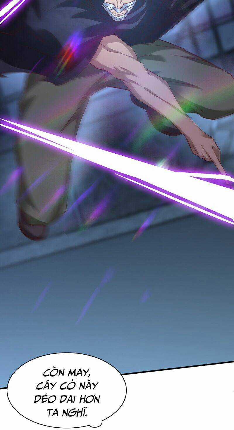 Ta Không Làm Tiên Đế Đã Nhiều Năm Chapter 10 trang 13