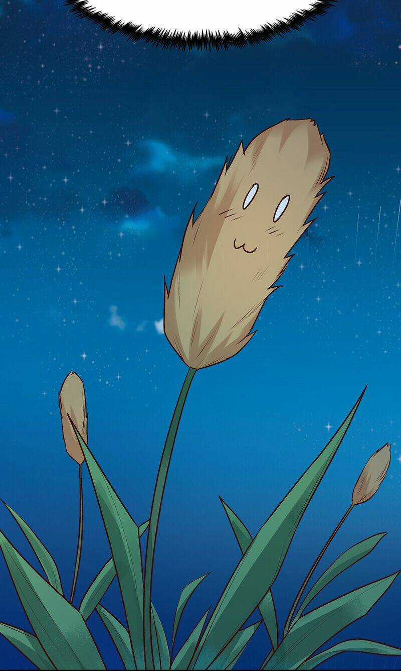 Ta Không Làm Tiên Đế Đã Nhiều Năm Chapter 10 trang 5