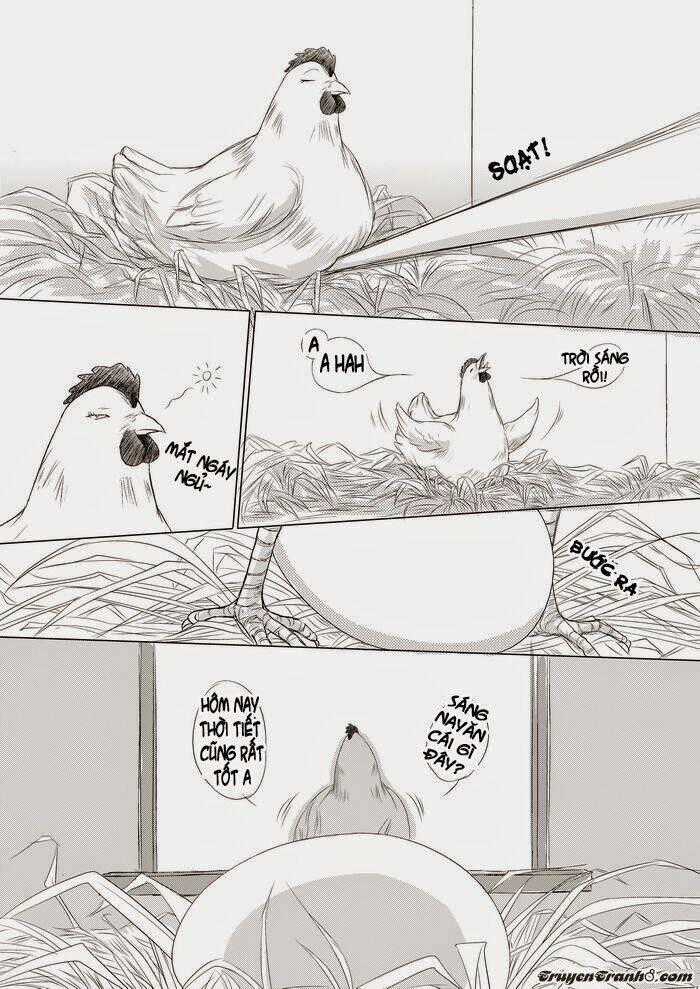 Ta Không Muốn Nói Ta Chỉ Là Một Con Gà Chapter 1 trang 9