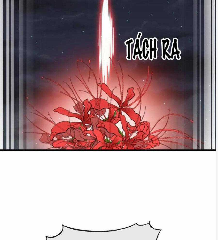 Ta Không Phải Con Cưng Của Khí Vận Chương 223 trang 6