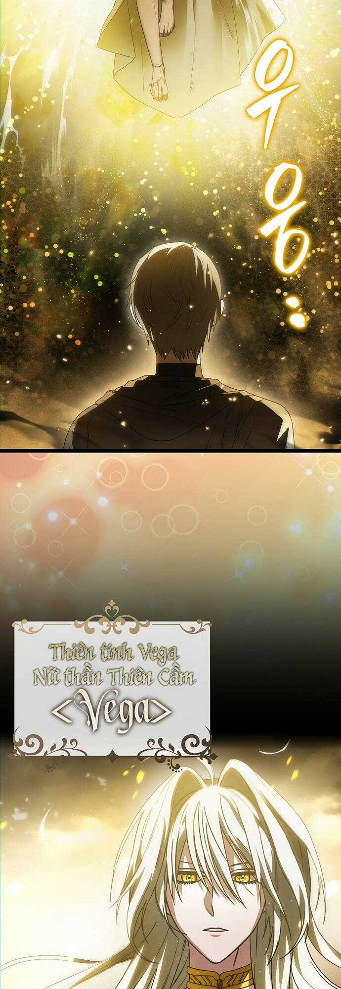 Ta Không Phải Là Hồi Quy Giả Chapter 1 trang 10