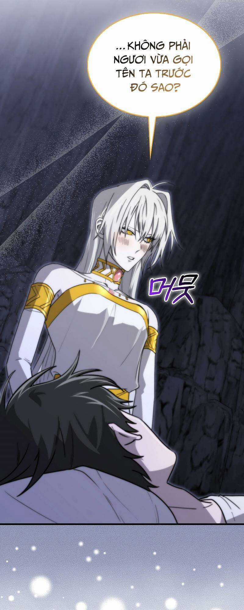 Ta Không Phải Là Hồi Quy Giả Chapter 11 trang 14