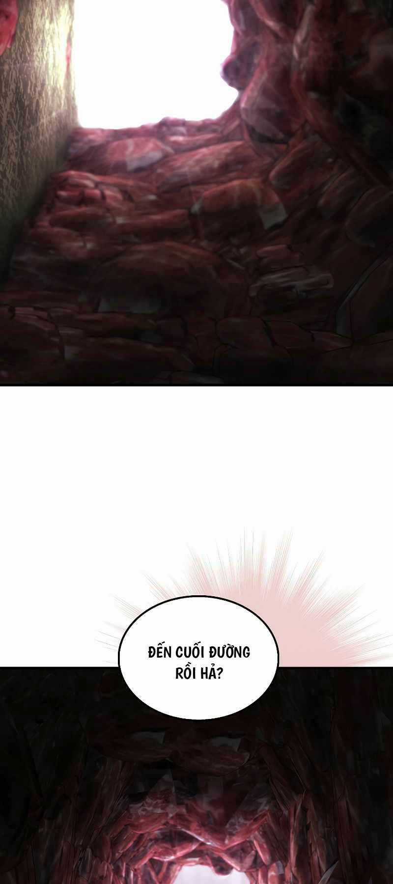 Ta Không Phải Là Hồi Quy Giả Chapter 22 trang 11