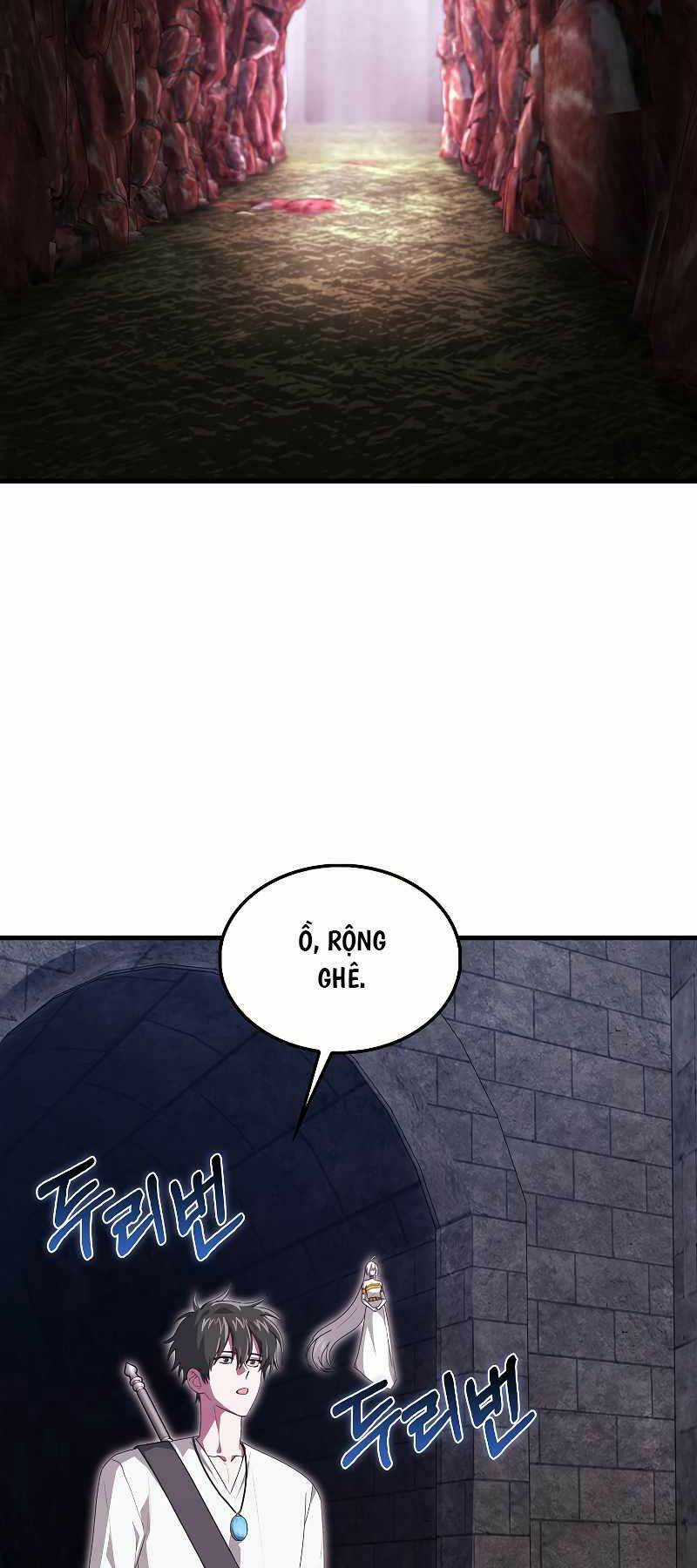 Ta Không Phải Là Hồi Quy Giả Chapter 22 trang 12