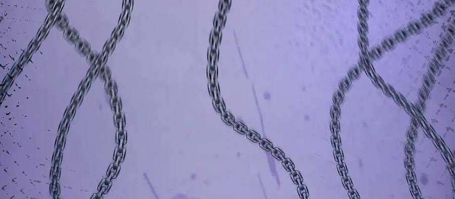 Ta Là Boss Mạnh Chương 27 trang 540