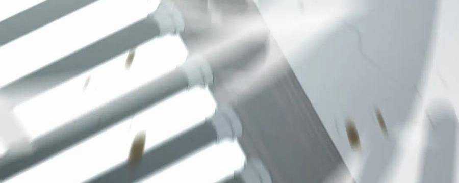 Ta Là Boss Mạnh Chương 30 trang 428