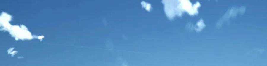 Ta Là Boss Mạnh Chương 33 trang 384