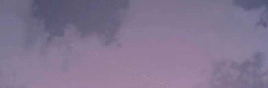 Ta Là Boss Mạnh Chương 33 trang 425