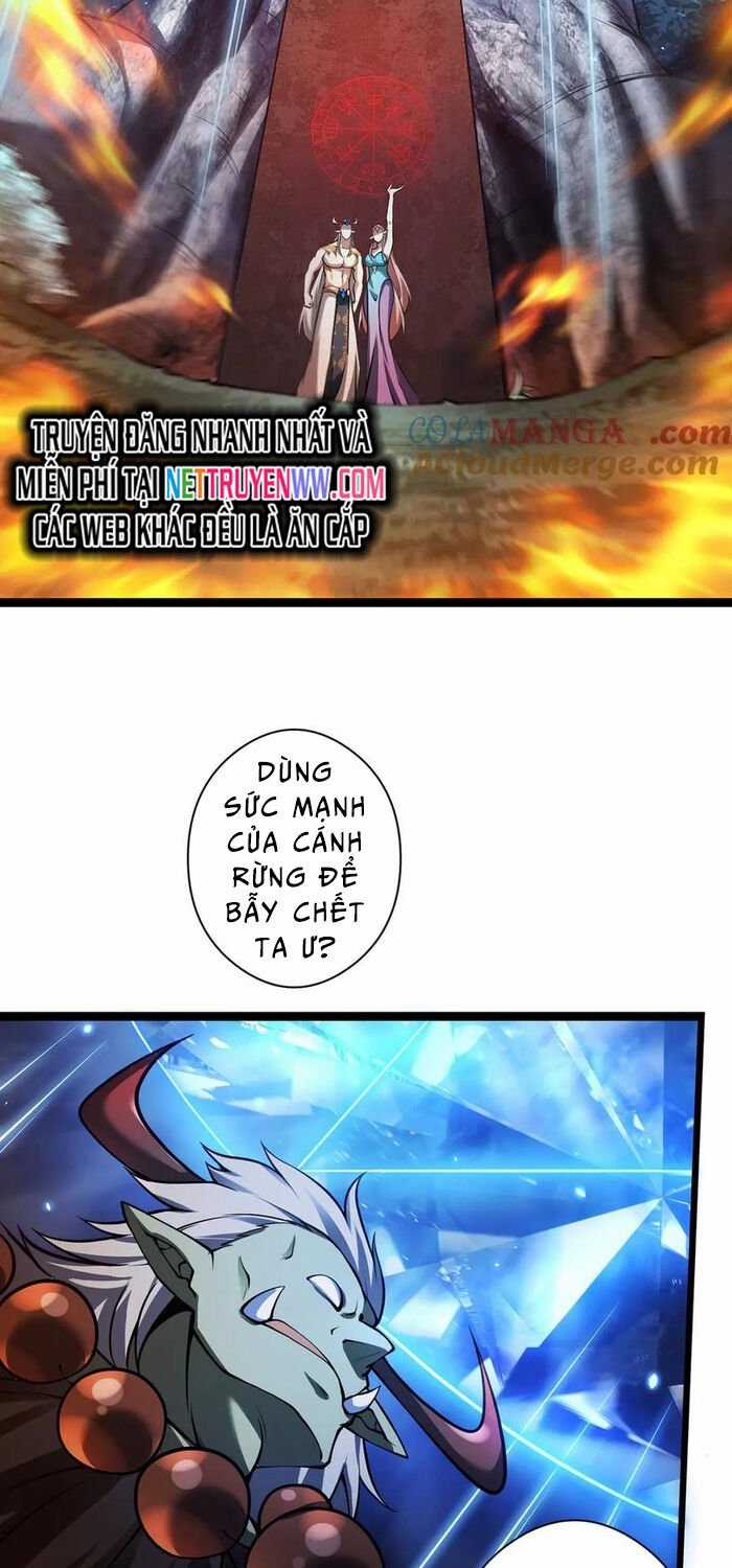 Ta Là Chúa Tể Tùng Lâm Chapter 28 trang 16