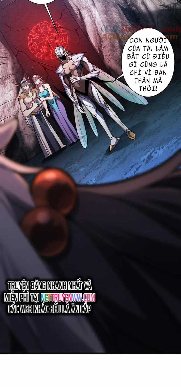 Ta Là Chúa Tể Tùng Lâm Chapter 28 trang 37