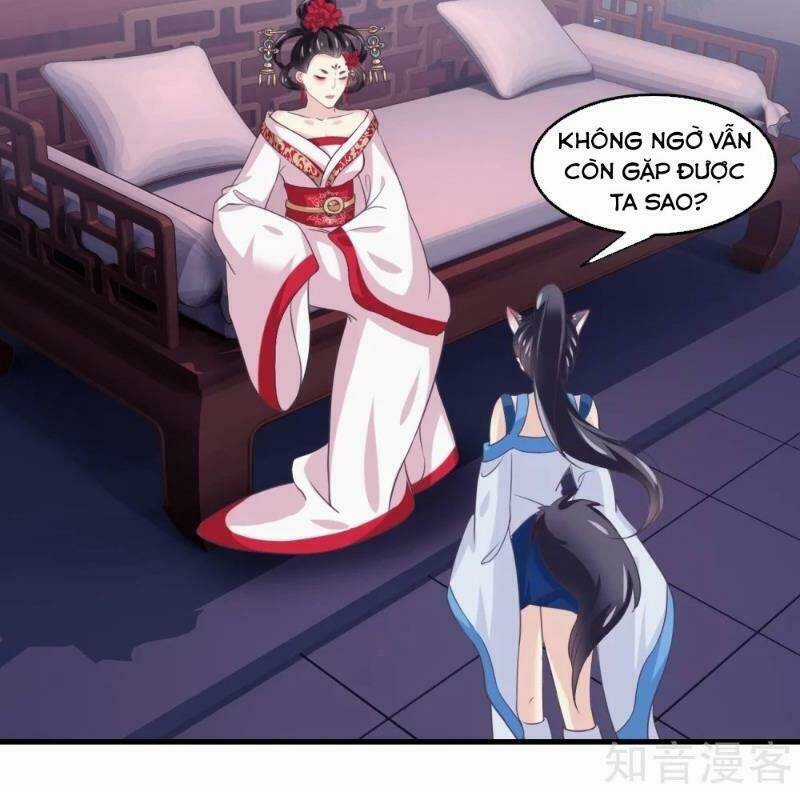 Ta Là Ngọc Hoàng Đại Đế Chapter 94 trang 5