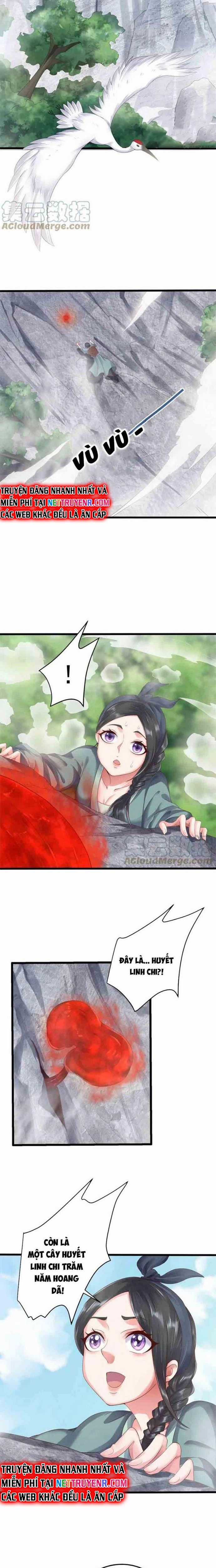 Ta Là Nhân Vật Phản Diện Đại Thiếu Gia Chương 147 trang 5