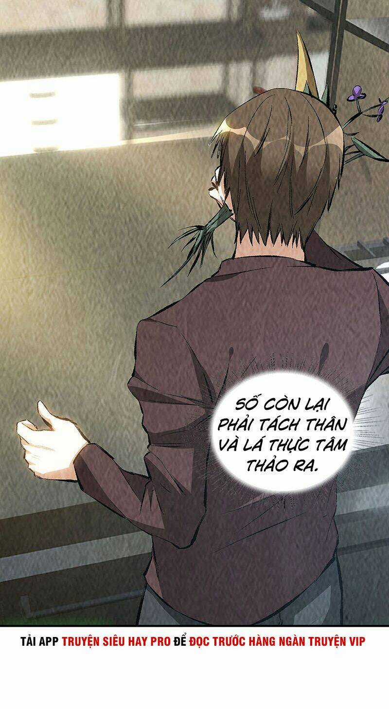 Ta Là Phế Vật Chapter 183 trang 11