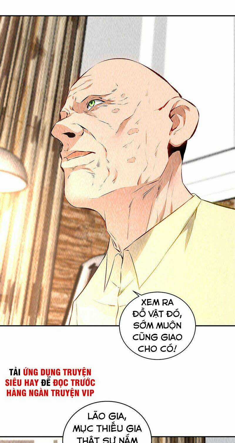 Ta Là Phế Vật Chapter 205 trang 20