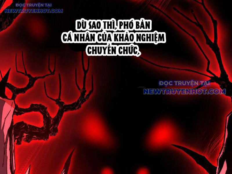 Ta Là Tai Họa Cấp Mục Sư Chương 37 trang 37