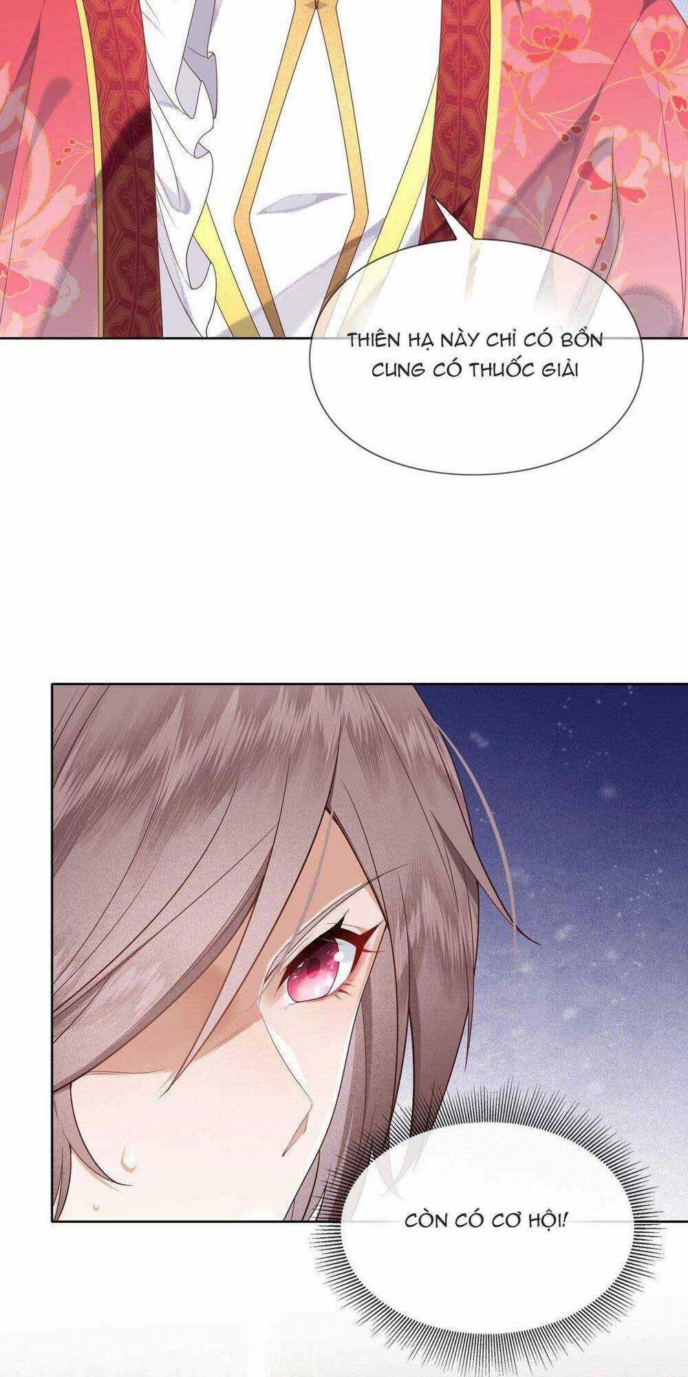 Ta Lại Bị Công Chúa Nam Nhân Quấn Lấy Rồi Chapter 4 trang 5