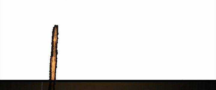 TA LÀM KIÊU HÙNG TẠI DỊ GIỚI Chapter 630 trang 40