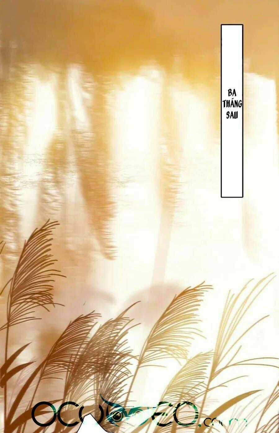 Ta Làm Lớn Ở Hậu Cung Chapter 146 trang 0