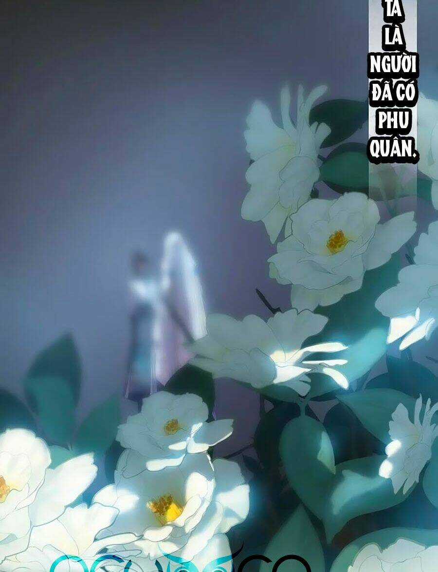Ta Làm Lớn Ở Hậu Cung Chapter 167 trang 14