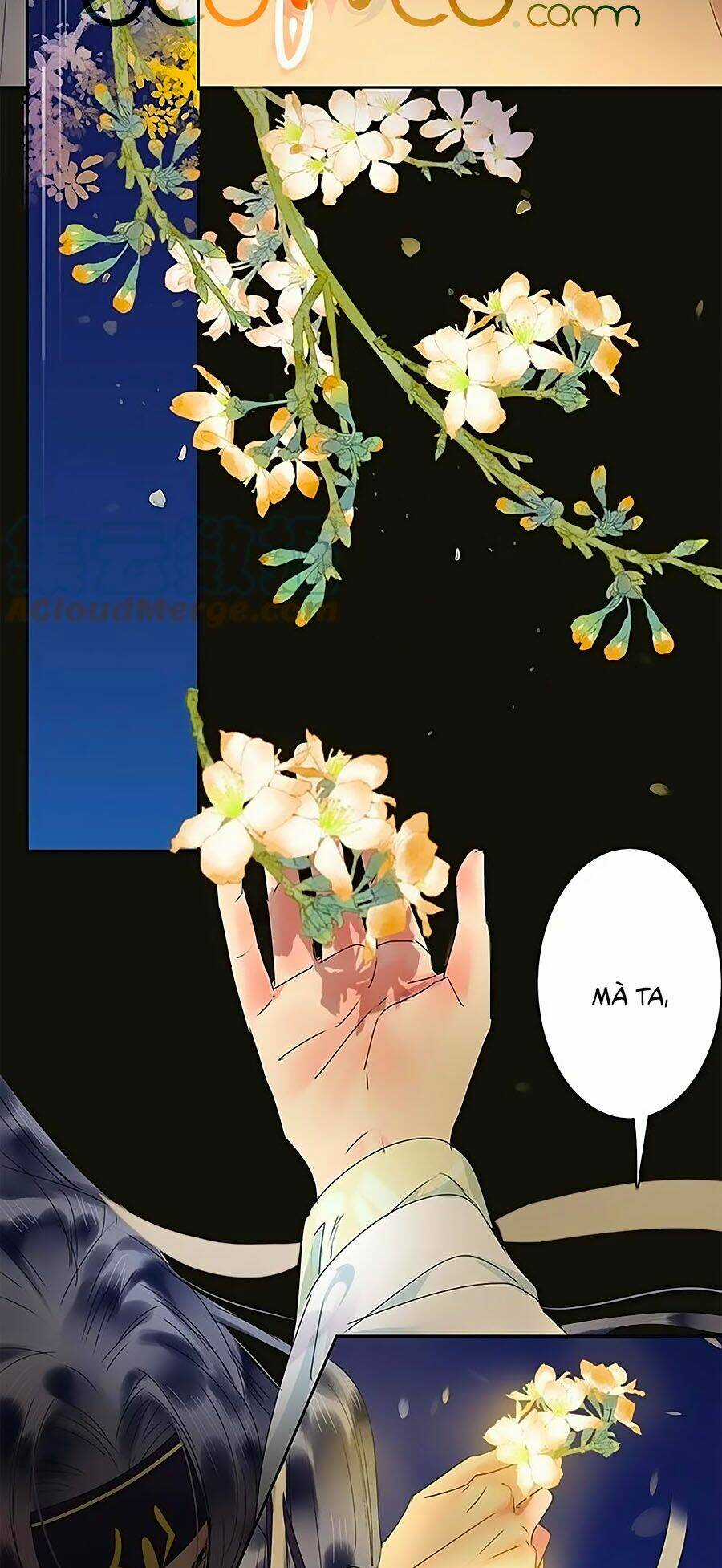 Ta Làm Lớn Ở Hậu Cung Chapter 168 trang 11