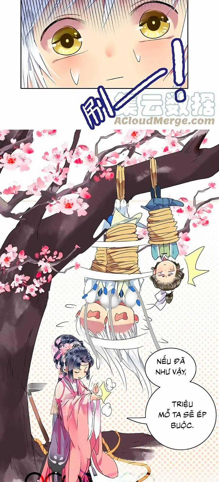 Ta Làm Lớn Ở Hậu Cung Chapter 176 trang 16