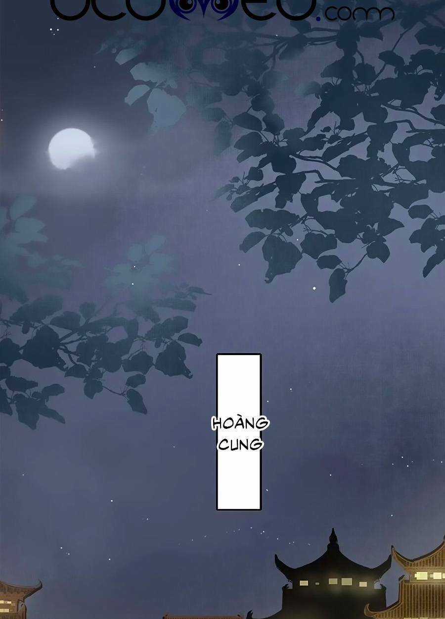 Ta Làm Lớn Ở Hậu Cung Chapter 185 trang 15