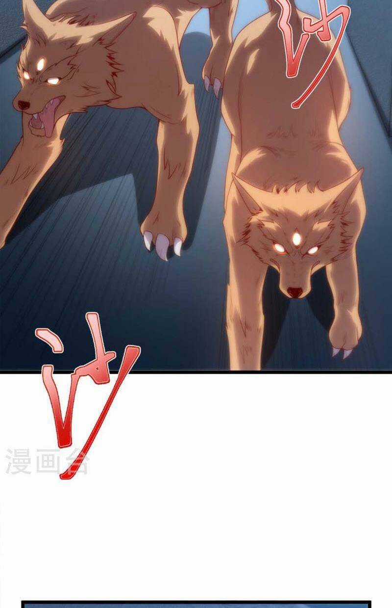 Ta Liều Mạng Mạnh Lên Chapter 3 trang 29