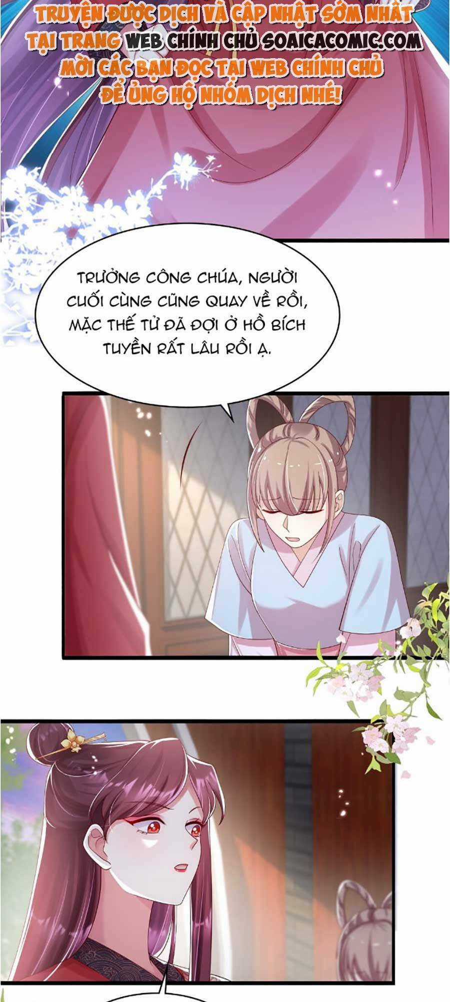 Ta Live Stream Ngược Đãi Nam Chính Chapter 17 trang 15