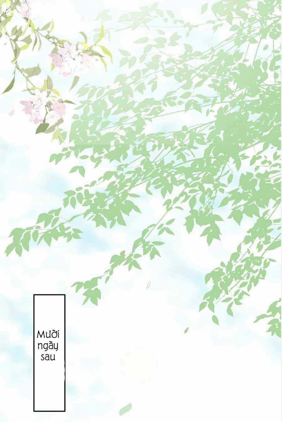 Ta Live Stream Ngược Đãi Nam Chính Chapter 19 trang 20