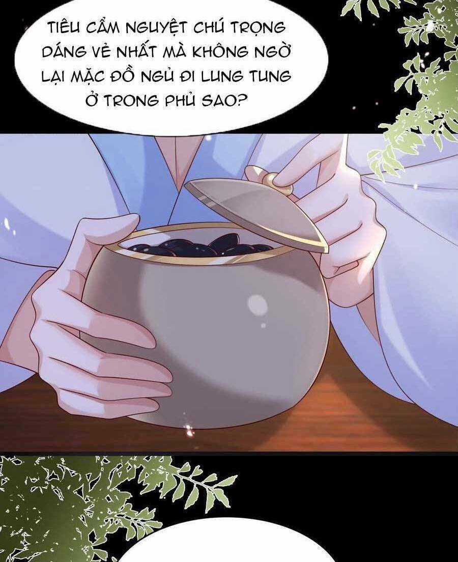 Ta Live Stream Ngược Đãi Nam Chính Chapter 23 trang 20