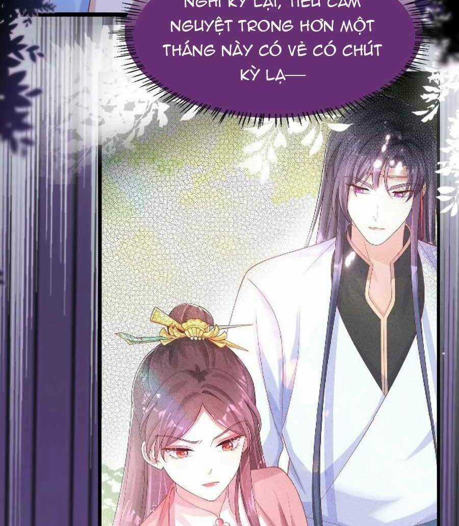 Ta Live Stream Ngược Đãi Nam Chính Chapter 23 trang 23