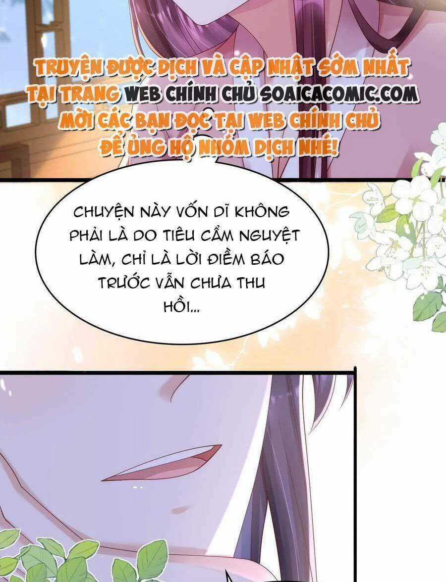 Ta Live Stream Ngược Đãi Nam Chính Chapter 23 trang 40